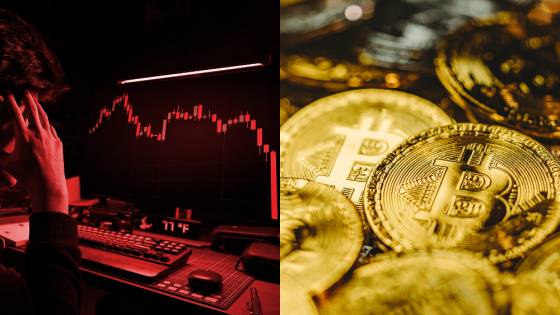 Bitcoin vysáva zisky z trhu