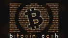 Kto podporuje Bitcoin Cash