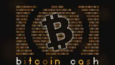 Kto podporuje Bitcoin Cash