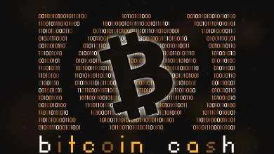 Kto podporuje Bitcoin Cash