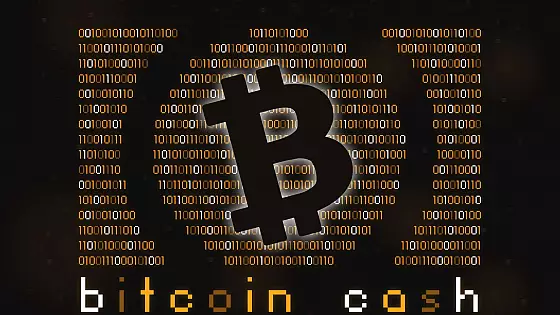 Kto podporuje Bitcoin Cash