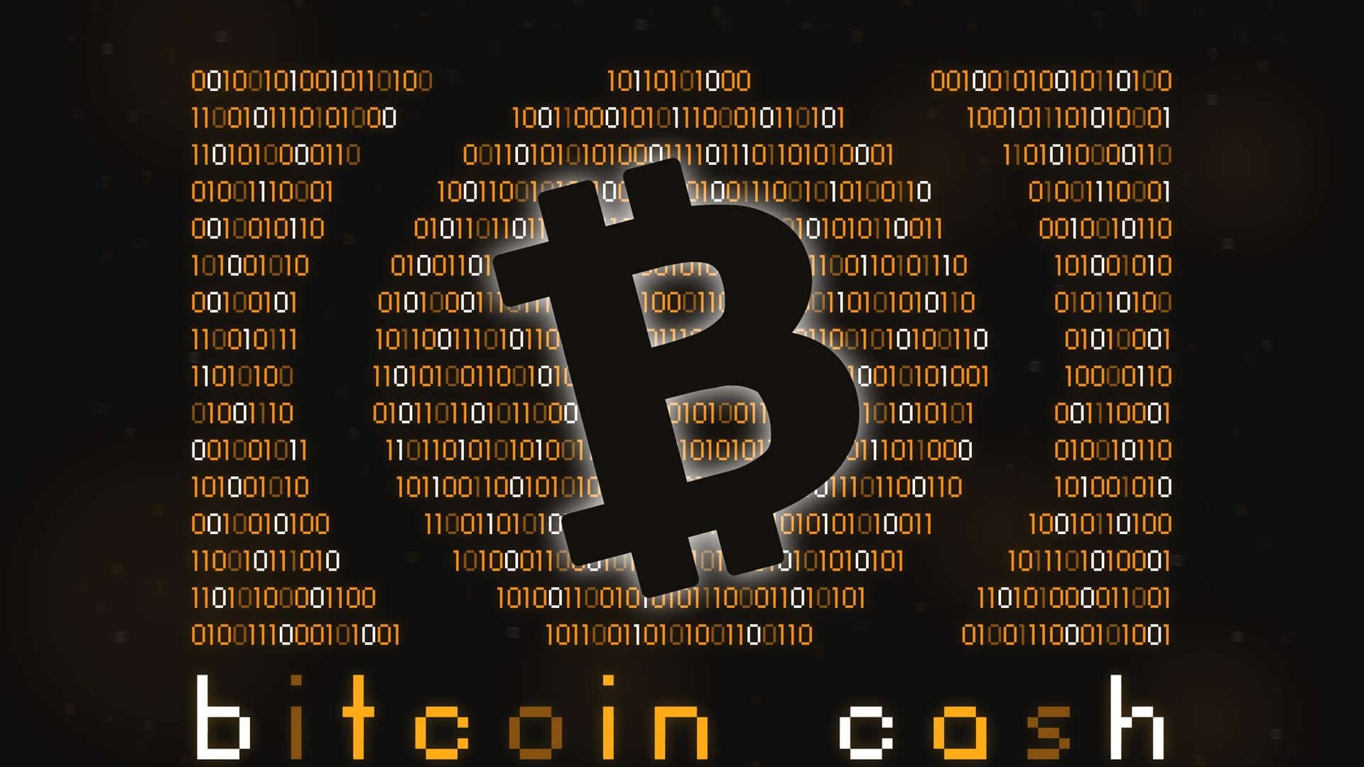 Kto podporuje Bitcoin Cash