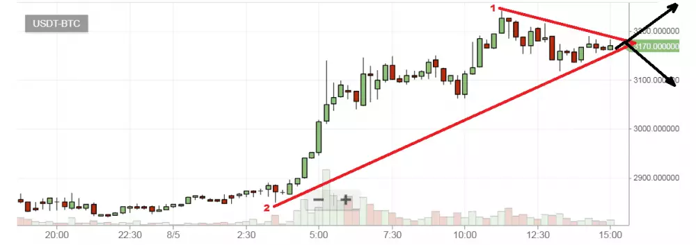 graf bitcoin 5.8.2017 na maxime