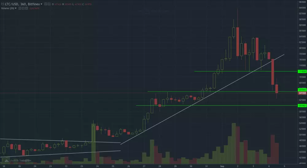 litecoin graf 4.9.2017 long term