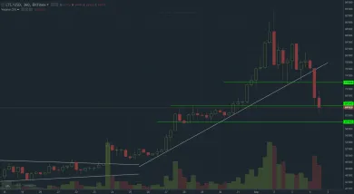 litecoin graf 4.9.2017 long term