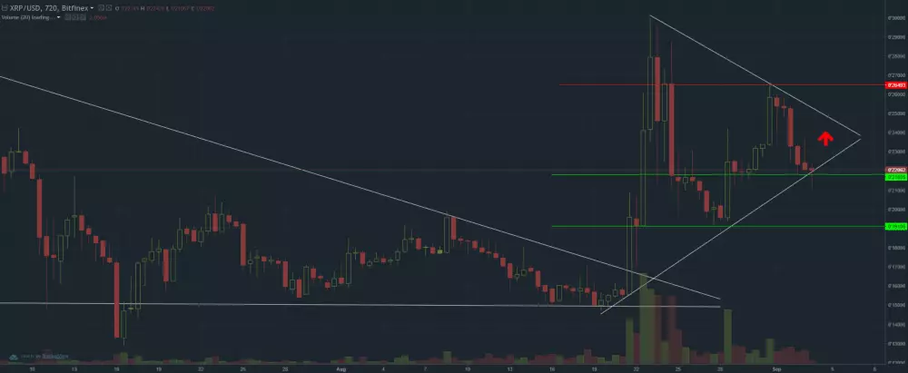 ripple graf 3.9.2017 long term