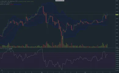 ethereum graf 16.10.2017 long term