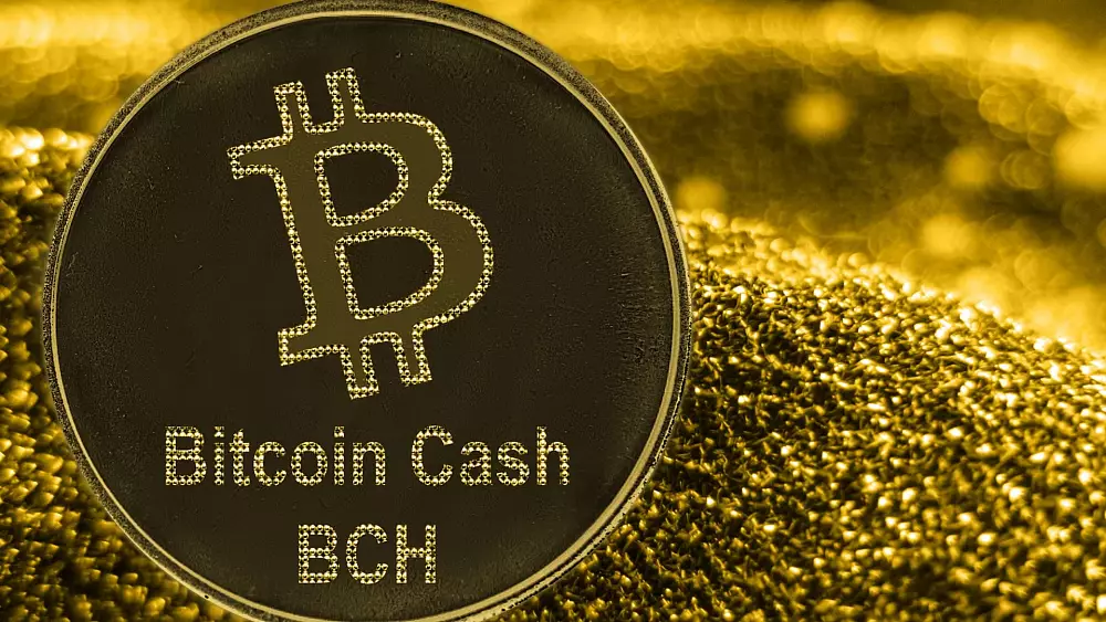 Analýza Bitcoin Cash