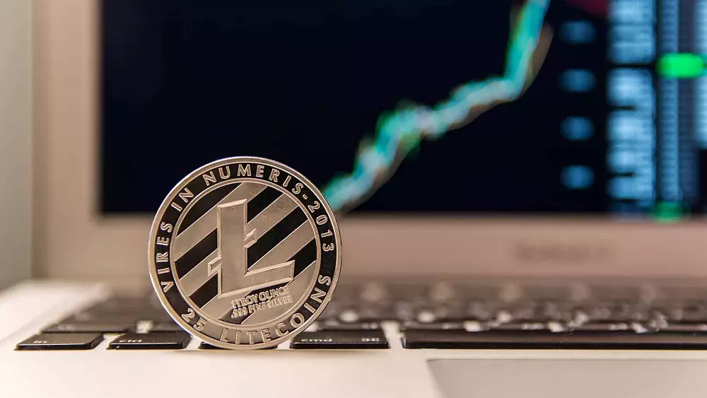 Analýza LTC