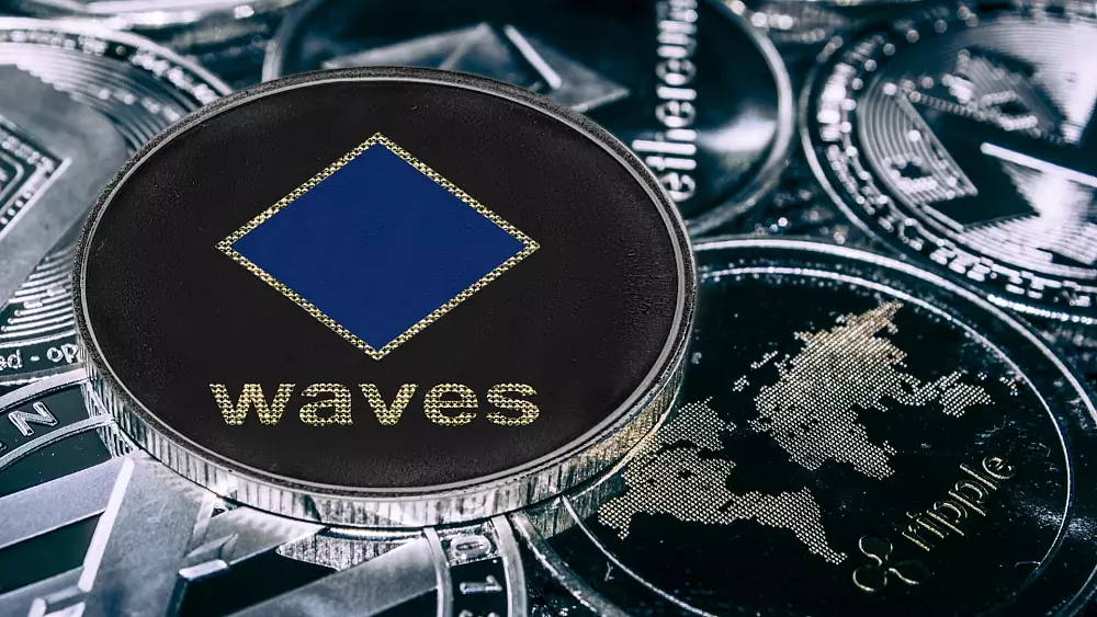 Analýza waves