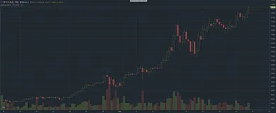 bitcoin graf 16.12.2017 long term