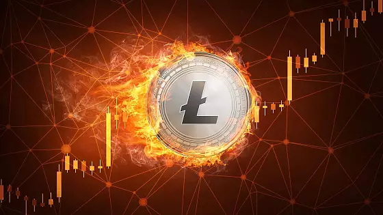 Litecoin nad 300 USD