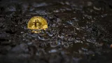 Vyhodil 7500 BTC