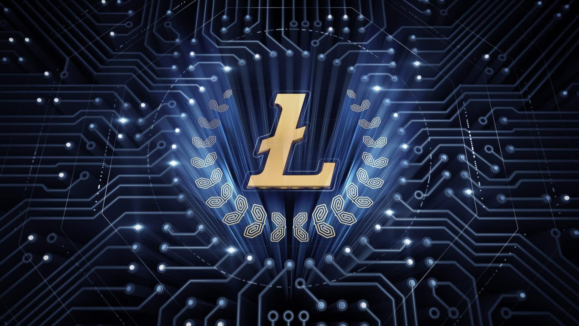 Litecoin je po hluboké korekci zase v TOP 6