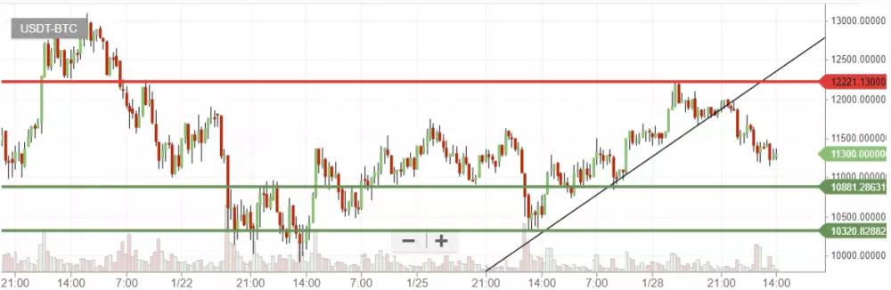 bitcoin graf bittrex 29.1.2018