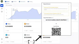 litecoin-nabiti-waves-wallet