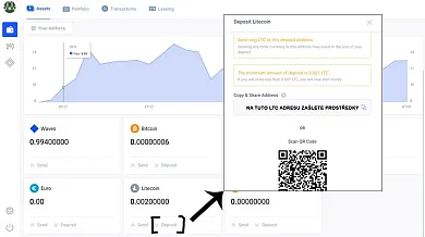 litecoin-nabiti-waves-wallet