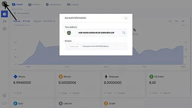 poslani-waves-do-walletu