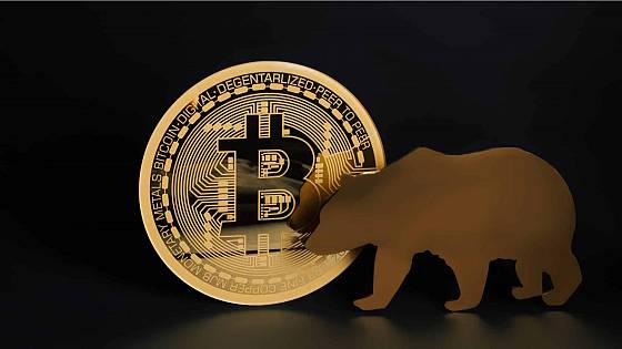 Medvede sa poriadne zahryzli do Bitcoinu
