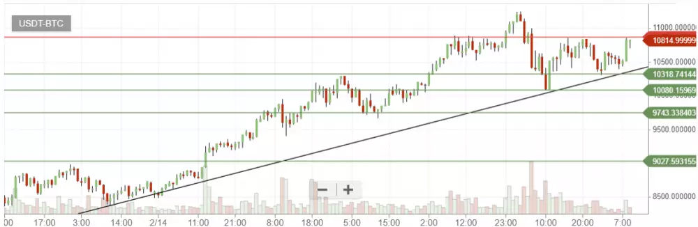 bittrex bitcoin graf 1h