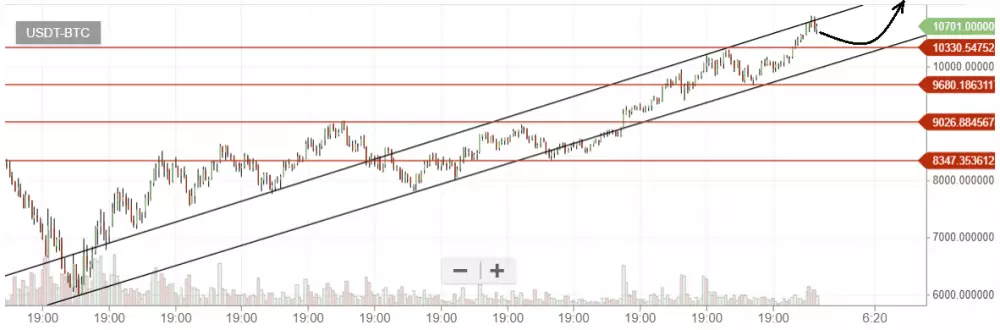 bittrex graf btc-usd 1h 17.2.2017