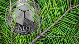 Kryptomeny, ktoré generujú pasívny príjem – NEO.