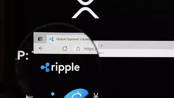 Ripple sľubuje zisky, avšak dlhodobá investícia môže byť riziková.