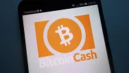 Bitcoin cash a pálenie mincí - o čo ide?