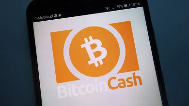 Bitcoin cash a pálenie mincí - o čo ide?