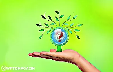 coiny s nízkou kapitalizací a velkým potenciálem