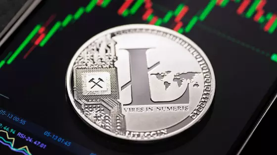 Litecoin je na tohtoročnom minime