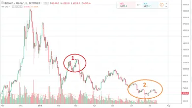 BTC Bitfinex - dump 2018