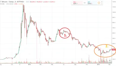 bitcoin dump 2013