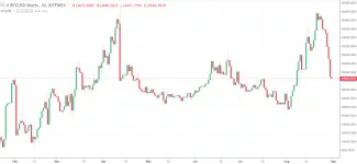 1D BTC-USD shorts - Bitfinex