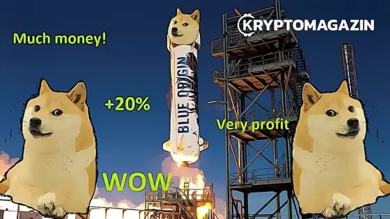 doge funny kryptomagazin