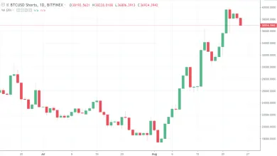 shorts btc-usd 1D bitfinex