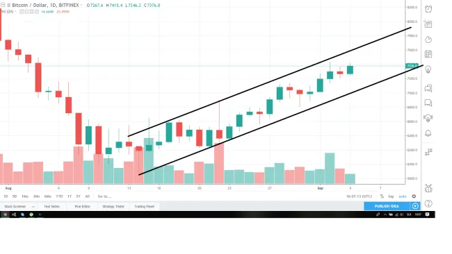 1D BTC-USD - Bitfinex