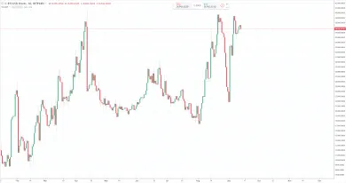 1D BTC/USD shorts - Bitfinex