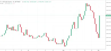 1D BTC-USD shorts bitfinex