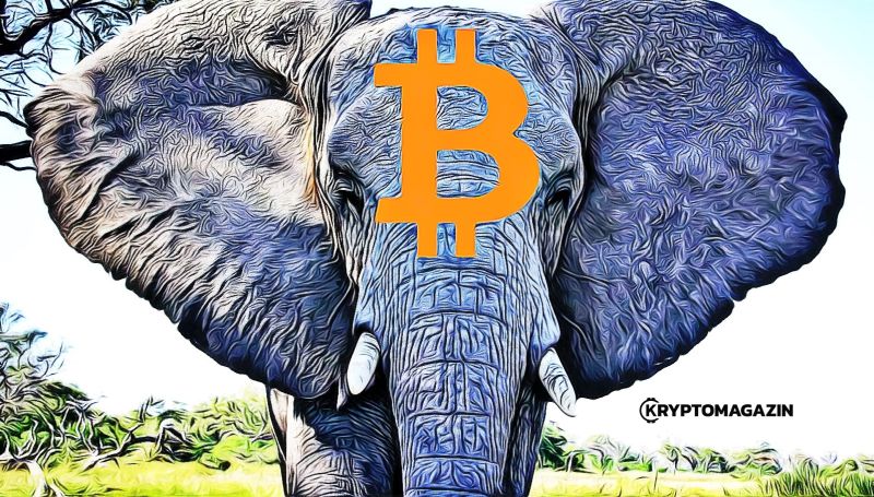 elephant bitcoin