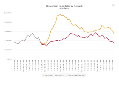 bchabc vs bchsv