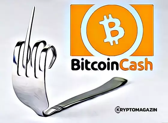 bitcoin cash fork