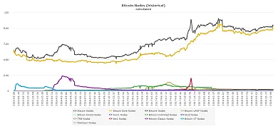 bitcoin nodes