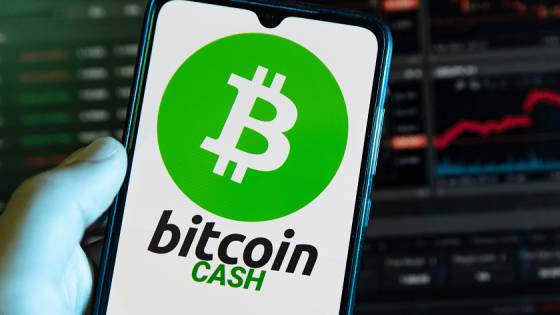 Ktorý je ten pravý Bitcoin Cash?