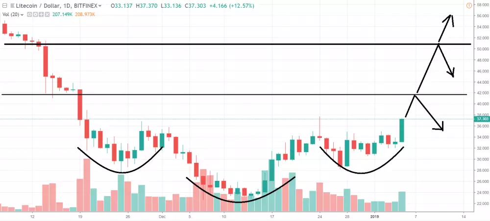 1D LTC/USD - Bitfinex