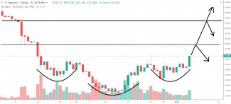 1D LTC/USD - Bitfinex