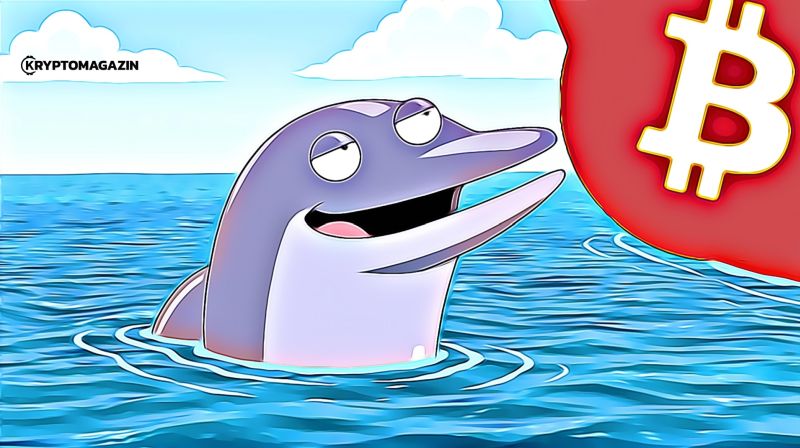 bitcoin whale veľryba
