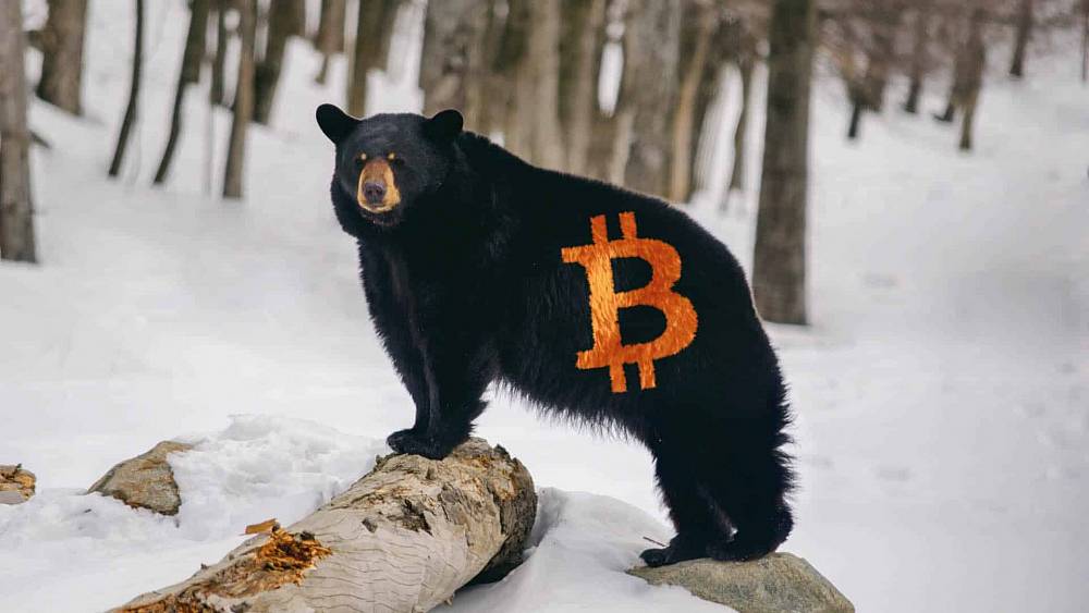 Bitcoin v bear marketu