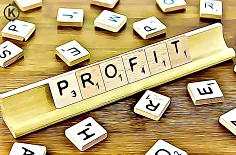 profit, zisk