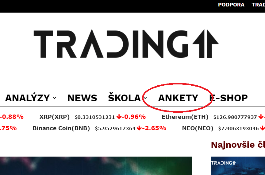 trading11 ankety